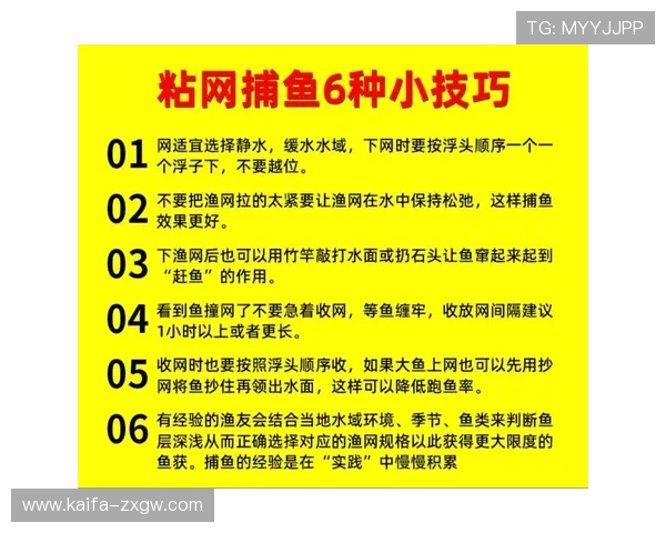 提升捕鱼技巧的实用指南：在K8捕鱼网投中轻松获胜的方法